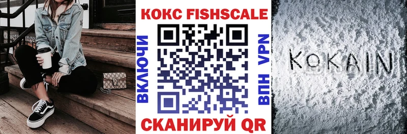 Купить закладки  Сосновоборск  COCAIN 97% 