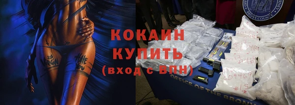 гашик Карпинск