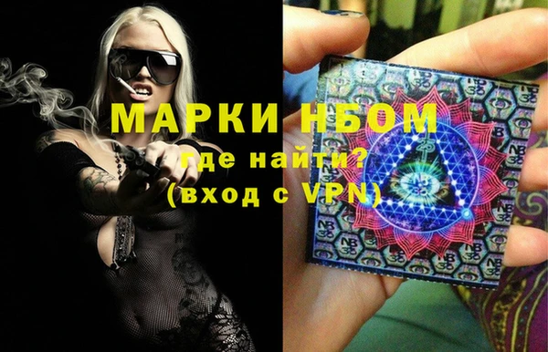 гашик Карпинск